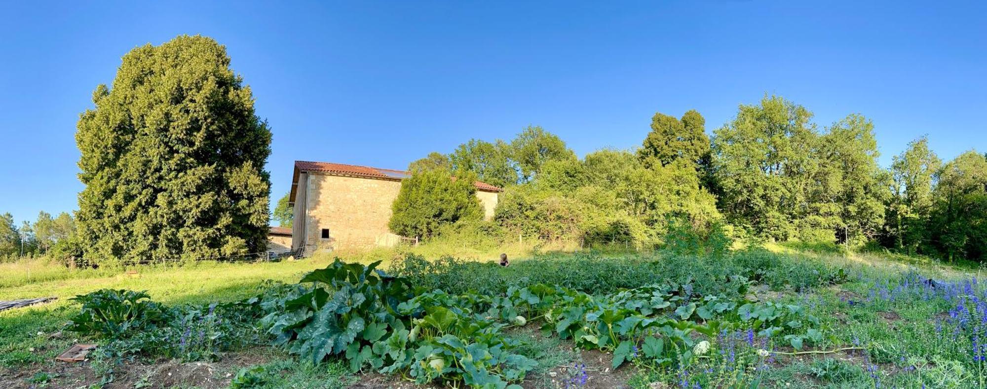 Ferme Gite Le Coeur Des Petits Chenes Saint-Pierre-de-Cole Bagian luar foto