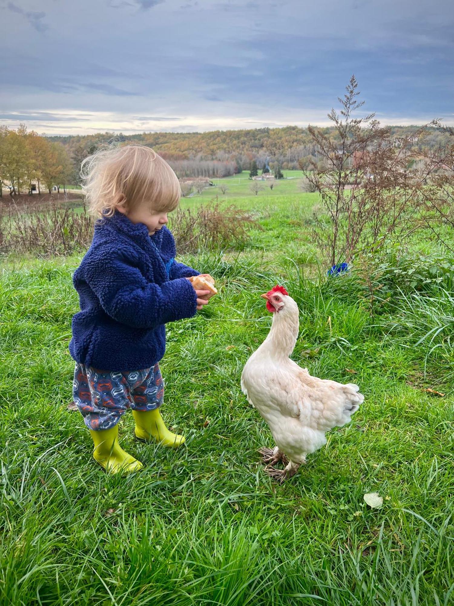 Ferme Gite Le Coeur Des Petits Chenes Saint-Pierre-de-Cole Bagian luar foto