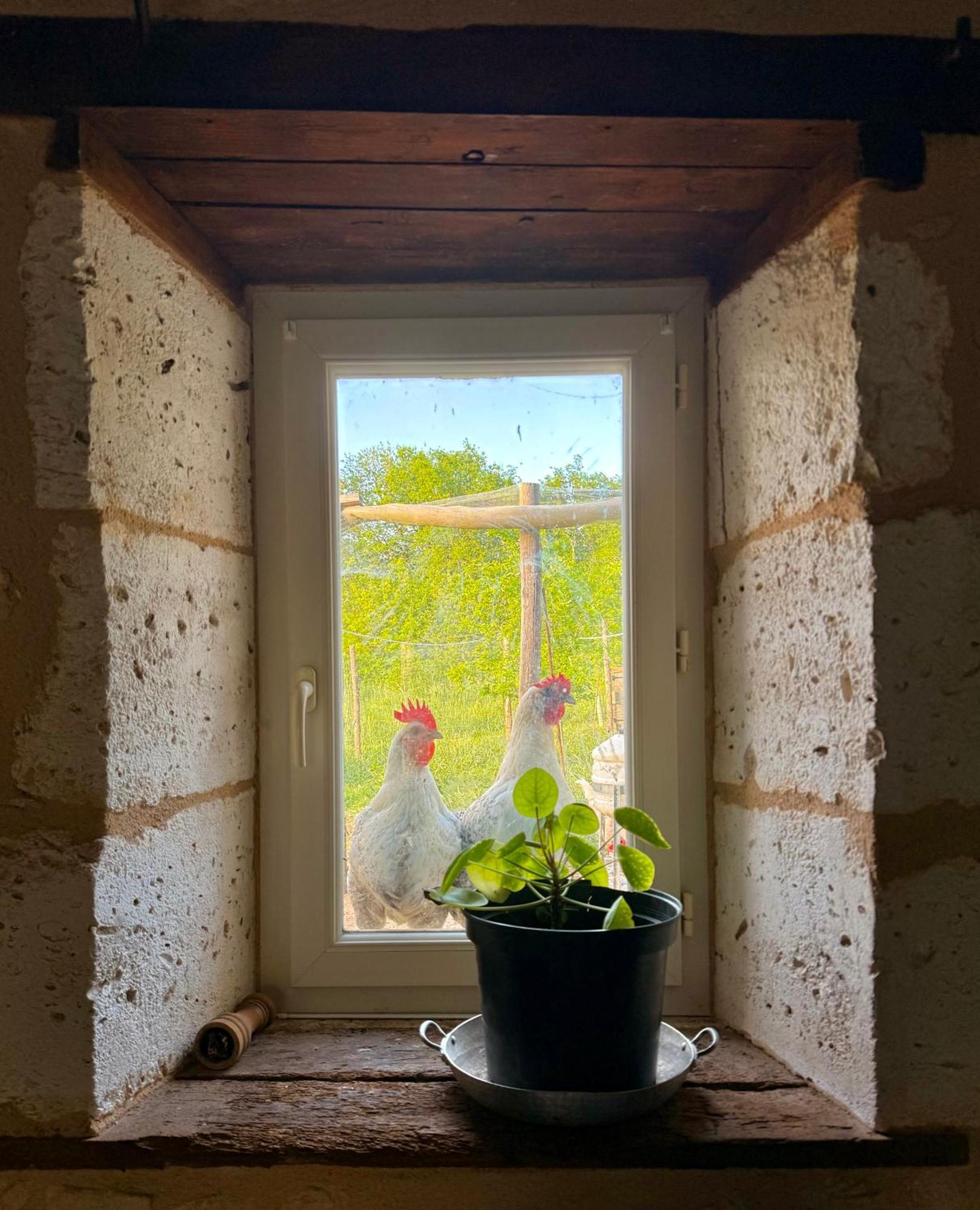 Ferme Gite Le Coeur Des Petits Chenes Saint-Pierre-de-Cole Bagian luar foto