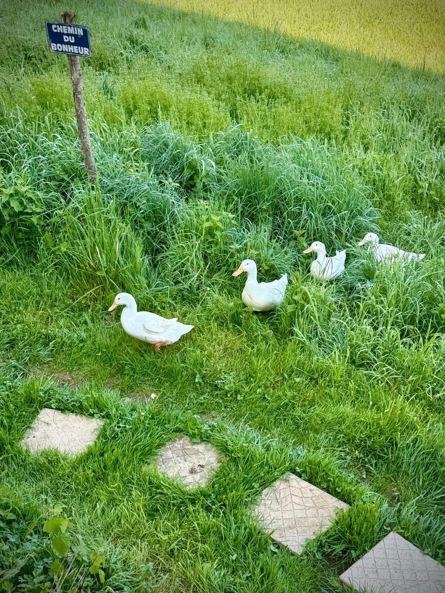 Ferme Gite Le Coeur Des Petits Chenes Saint-Pierre-de-Cole Bagian luar foto